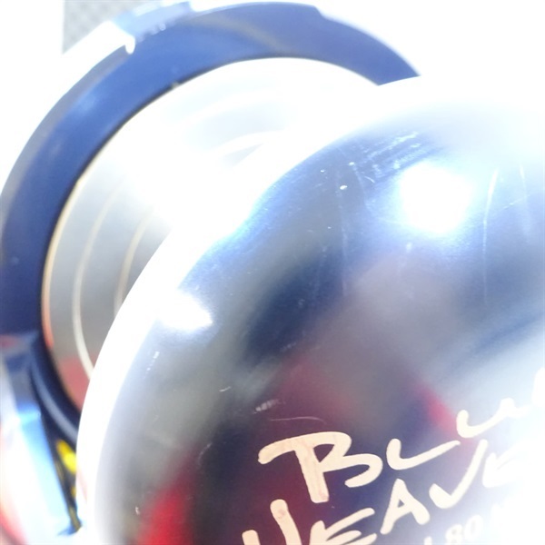 ブルーヘブンＡＥ１００